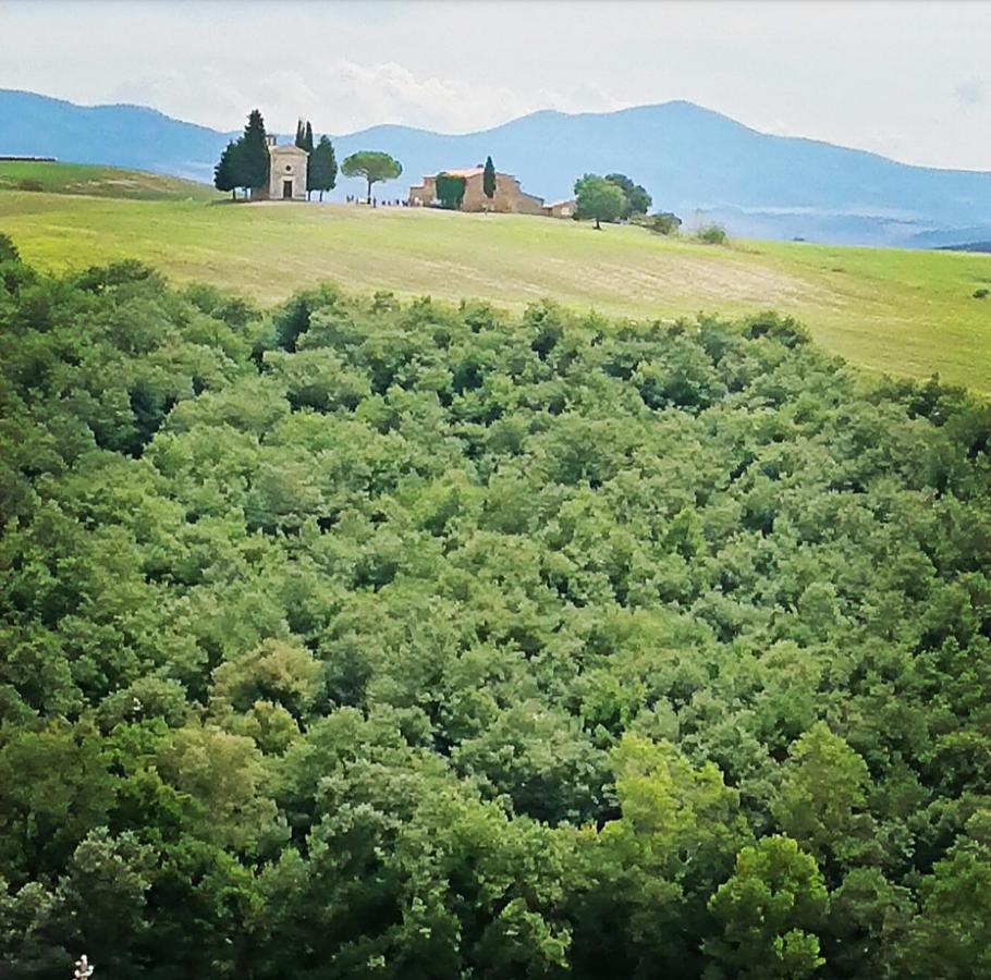 Affittacamere Alba Fiorita Castiglione dʼOrcia Екстериор снимка
