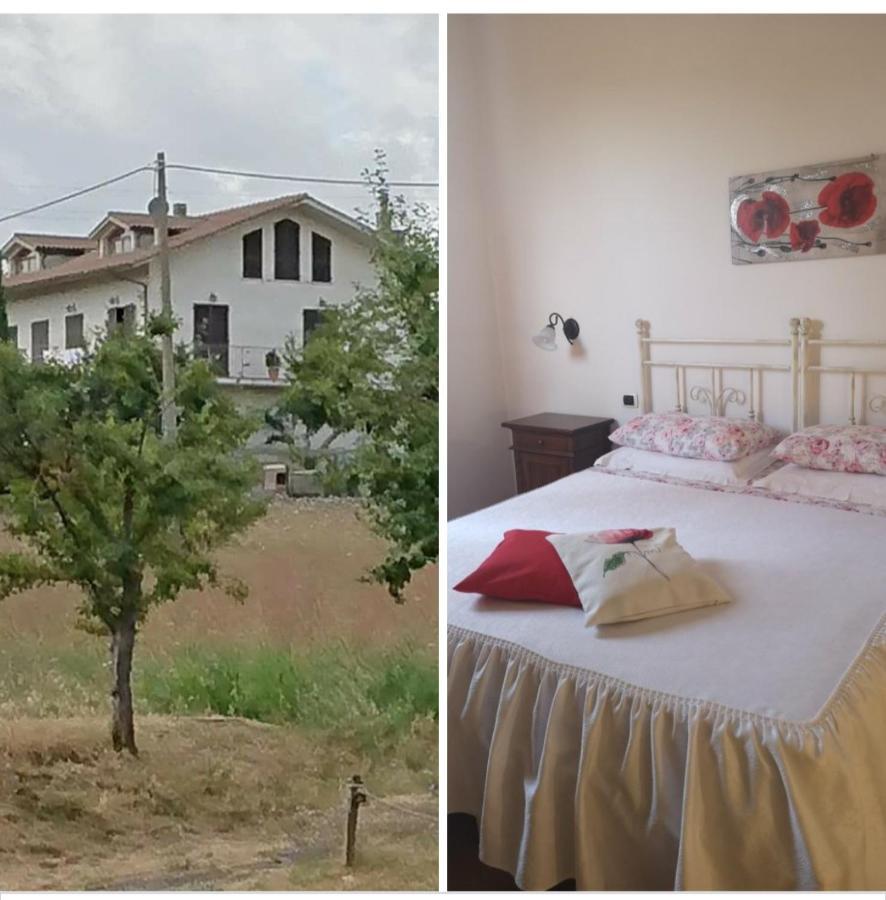 Affittacamere Alba Fiorita Castiglione dʼOrcia Екстериор снимка