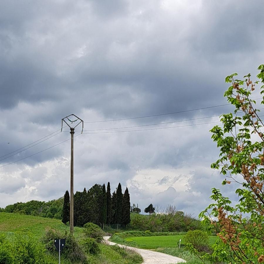 Affittacamere Alba Fiorita Castiglione dʼOrcia Екстериор снимка
