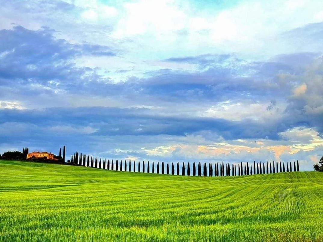 Affittacamere Alba Fiorita Castiglione dʼOrcia Екстериор снимка