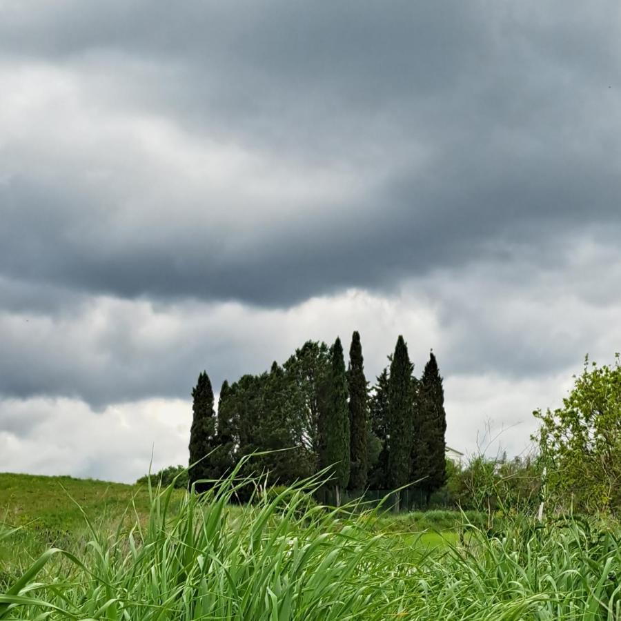 Affittacamere Alba Fiorita Castiglione dʼOrcia Екстериор снимка