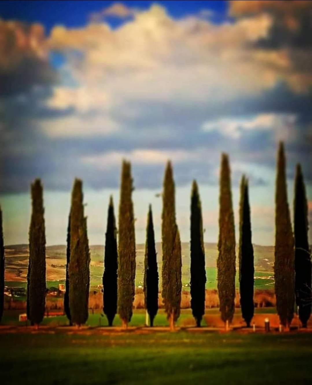 Affittacamere Alba Fiorita Castiglione dʼOrcia Екстериор снимка