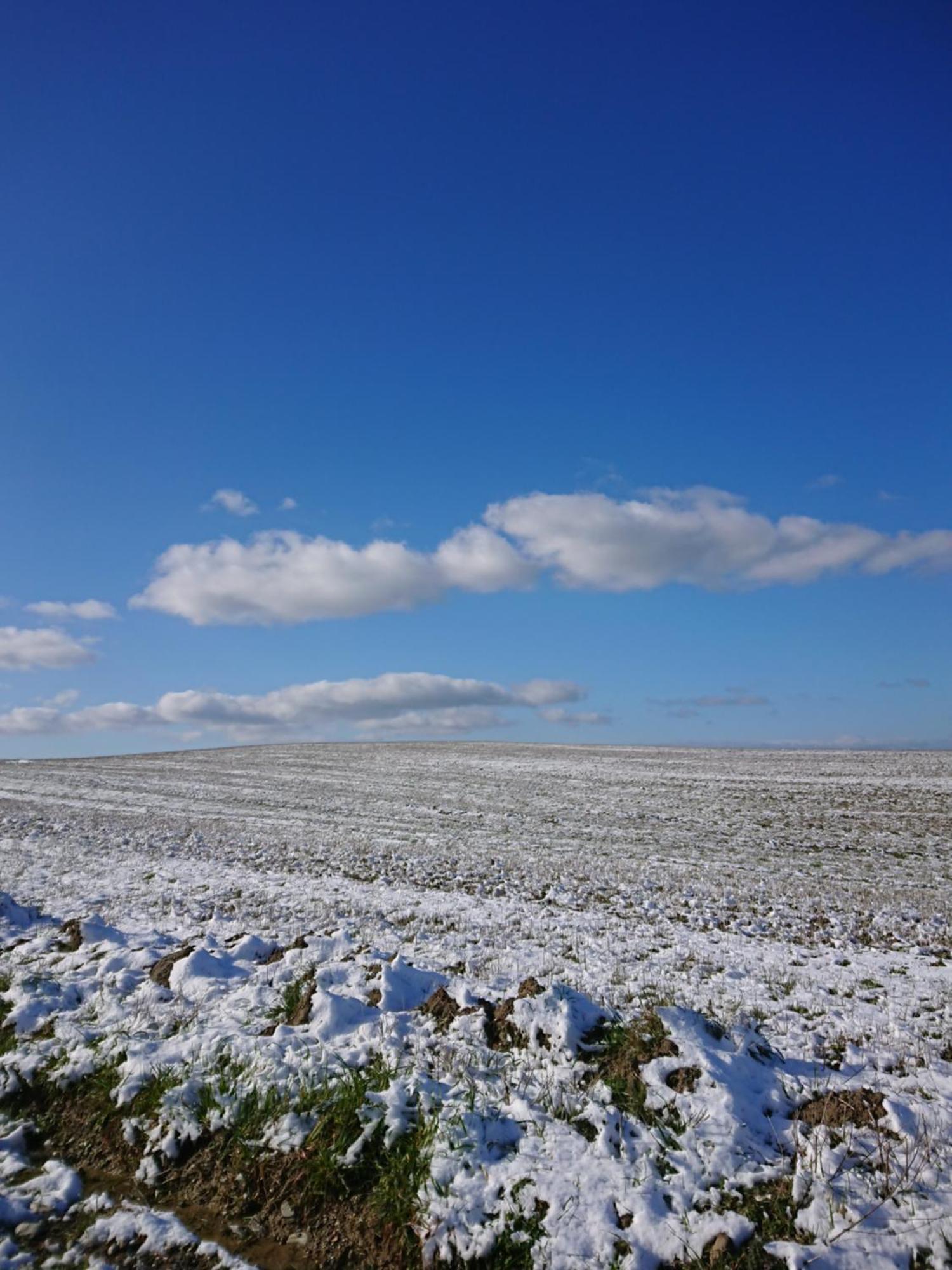 Affittacamere Alba Fiorita Castiglione dʼOrcia Екстериор снимка